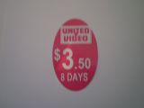 40x25 Oval Pricing Label - Magenta